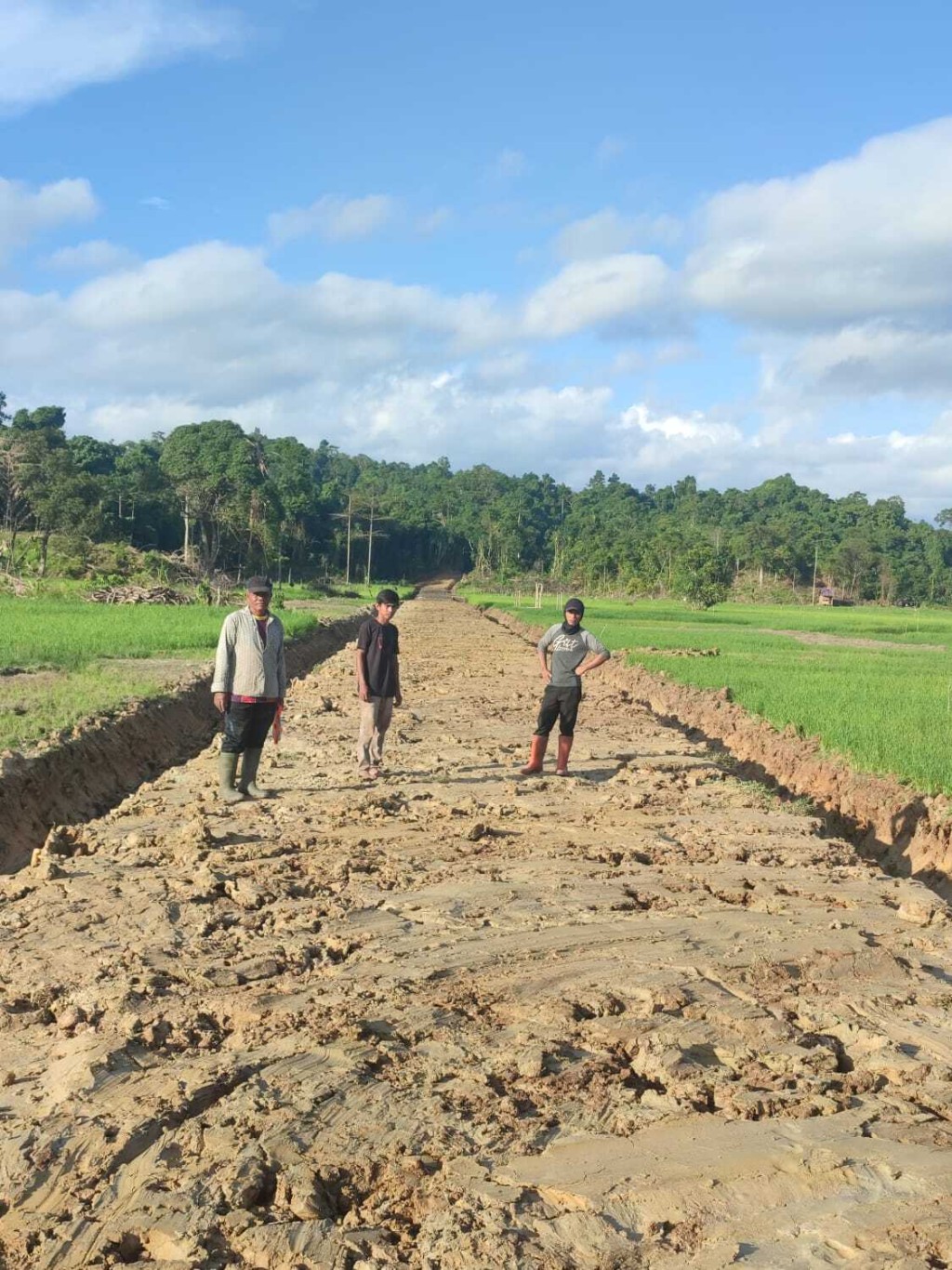 Optimalisasi Lahan Rawa, Lahan Pertanian Blang Peninjauan Desa Laure-e